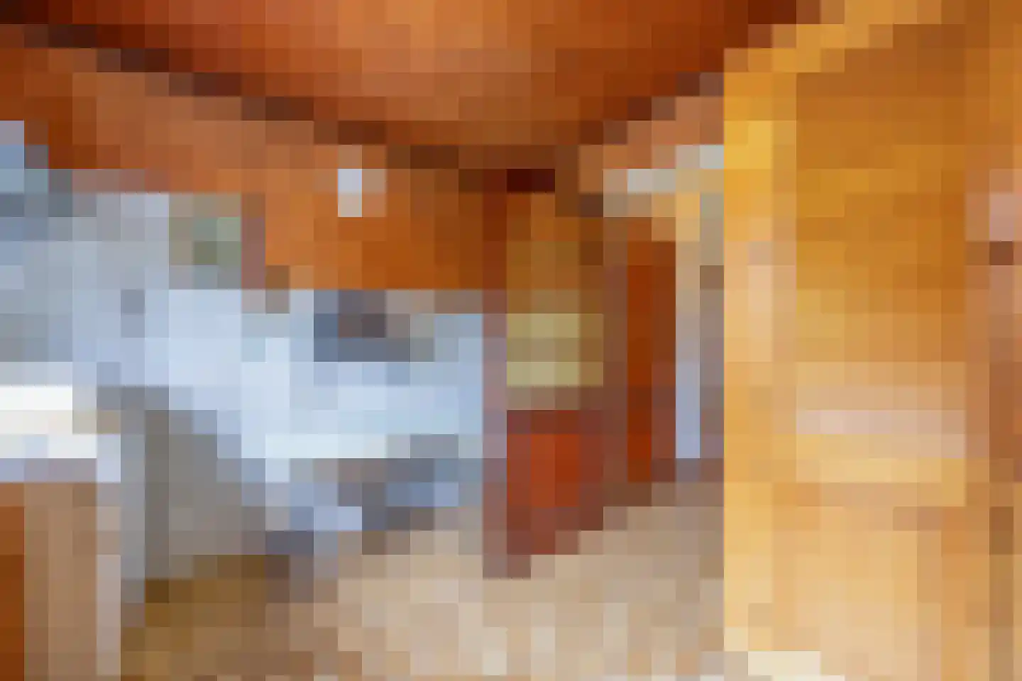 Tweede Molenweg 11 Blaricum thumbnail 16