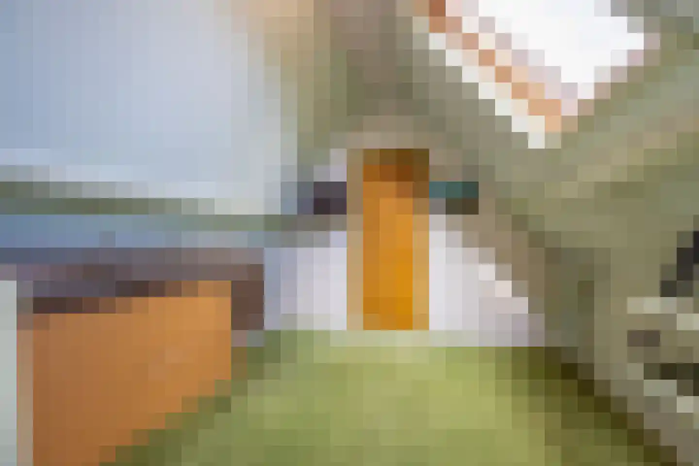 Tweede Molenweg 11 Blaricum thumbnail 23