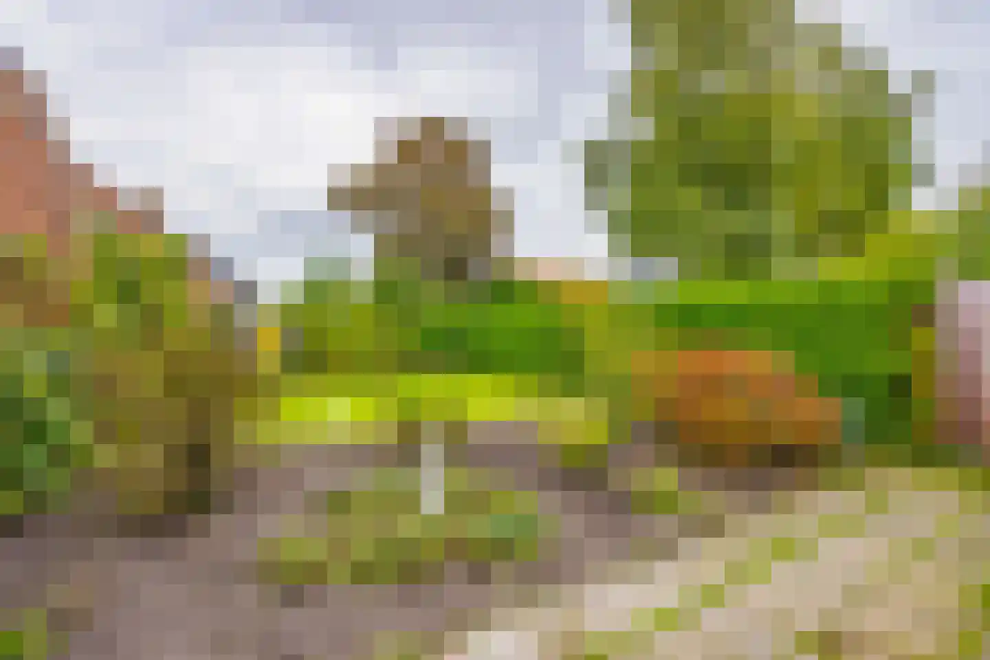 Tweede Molenweg 11 Blaricum thumbnail 26
