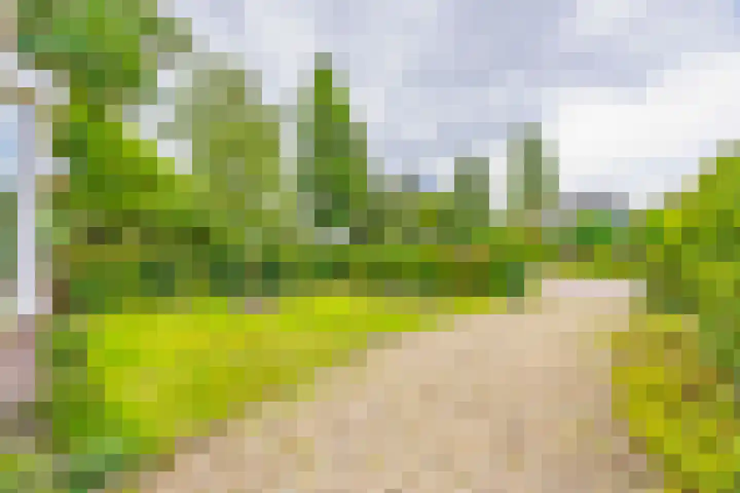 Tweede Molenweg 11 Blaricum thumbnail 8