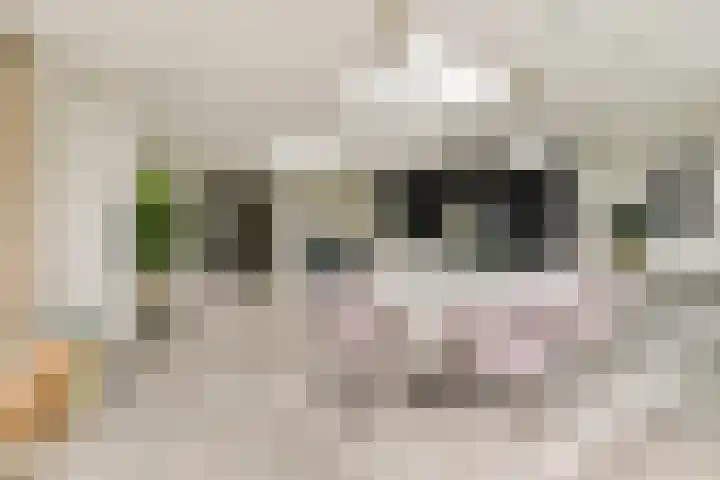 Tweede Molenweg 17 Blaricum thumbnail 10