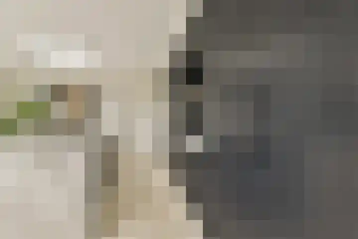 Tweede Molenweg 17 Blaricum thumbnail 12