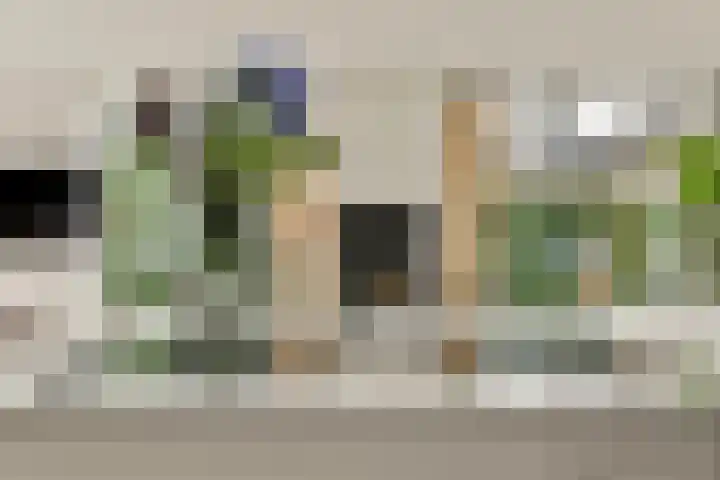 Tweede Molenweg 17 Blaricum thumbnail 13
