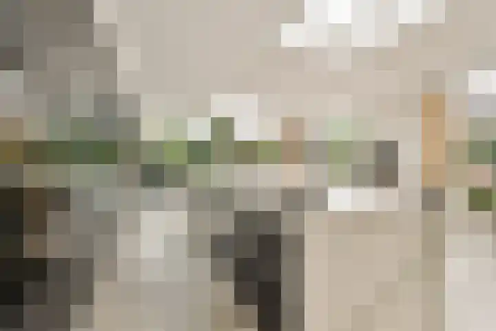 Tweede Molenweg 17 Blaricum thumbnail 14