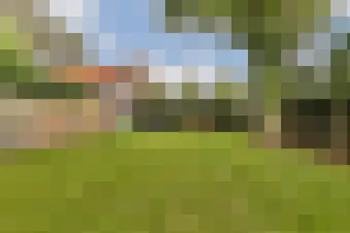 Tweede Molenweg 17 Blaricum thumbnail 17