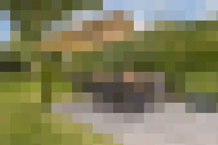 Tweede Molenweg 17 Blaricum thumbnail 19