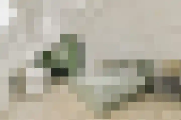 Tweede Molenweg 17 Blaricum thumbnail 32