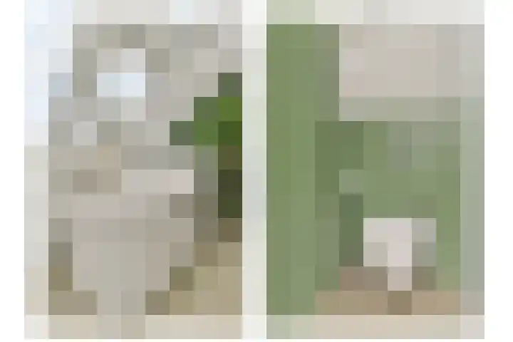 Tweede Molenweg 17 Blaricum thumbnail 34