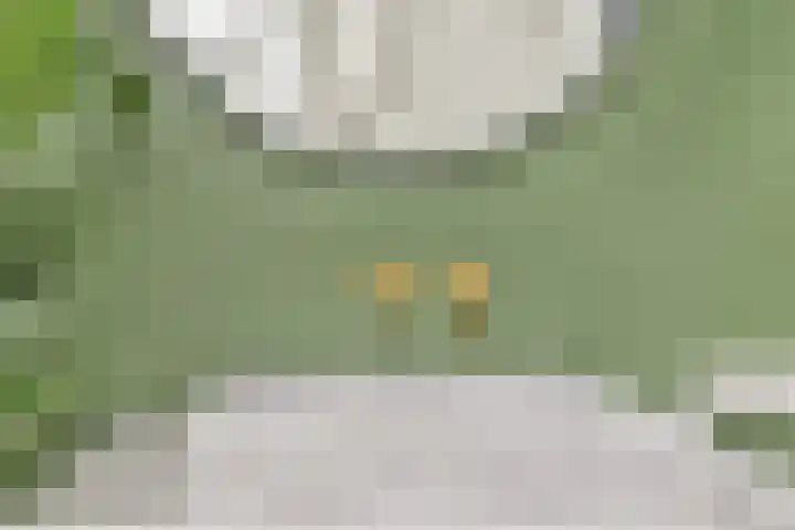 Tweede Molenweg 17 Blaricum thumbnail 35
