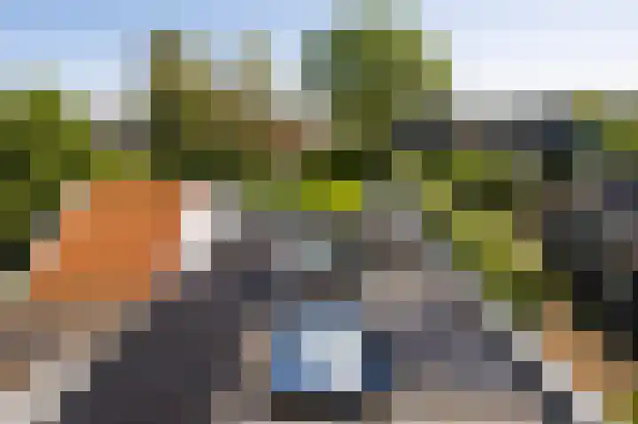 Tweede Molenweg 17 Blaricum thumbnail 38