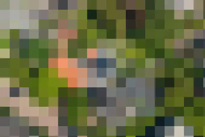 Tweede Molenweg 17 Blaricum thumbnail 39
