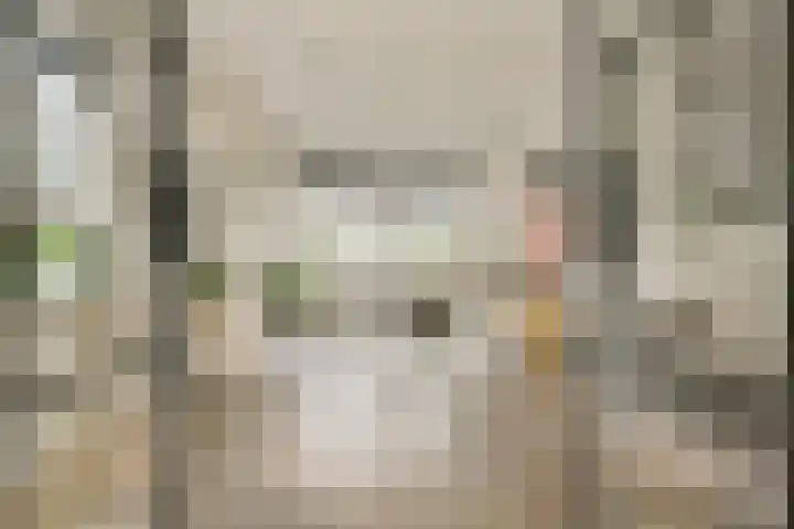 Tweede Molenweg 17 Blaricum thumbnail 4