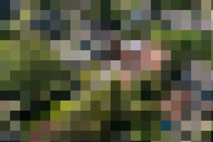 Tweede Molenweg 17 Blaricum thumbnail 40