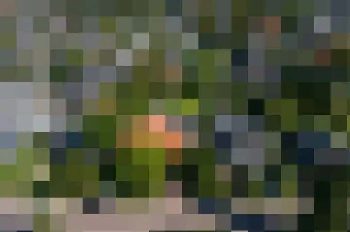 Tweede Molenweg 17 Blaricum thumbnail 41