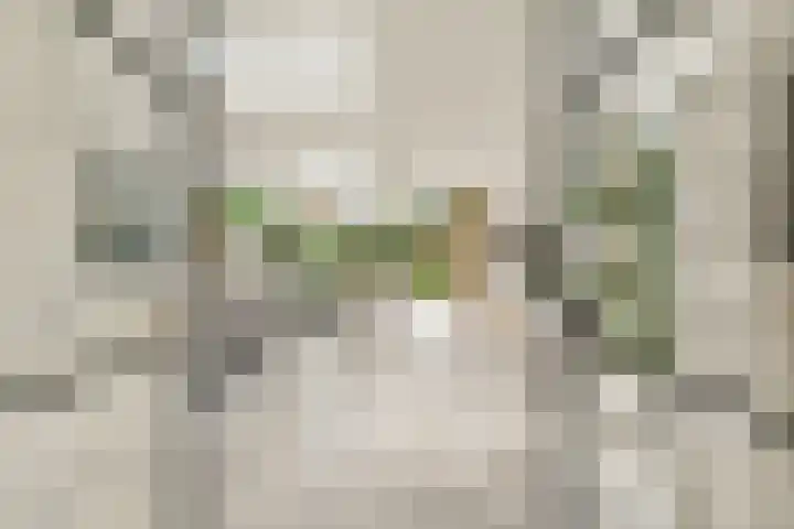 Tweede Molenweg 17 Blaricum thumbnail 8