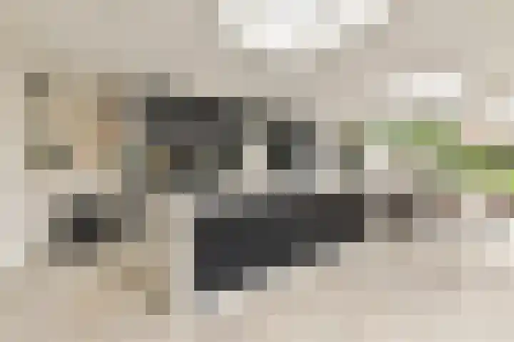 Tweede Molenweg 17 Blaricum thumbnail 9
