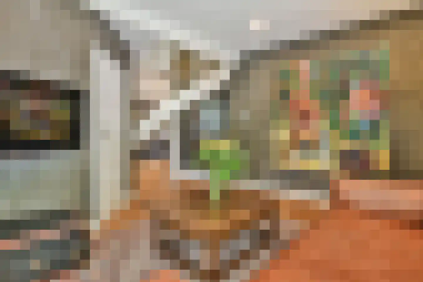 Tweede Molenweg 24 Blaricum thumbnail 20