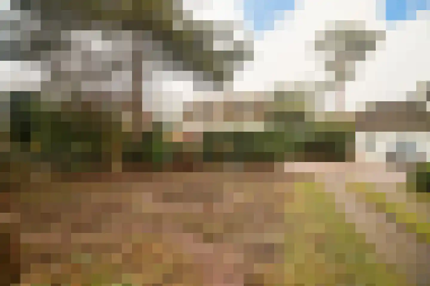 Tweede Molenweg 30 Blaricum thumbnail 30