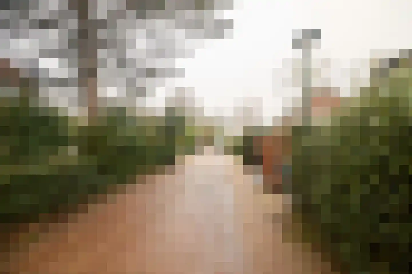Tweede Molenweg 30 Blaricum thumbnail 32