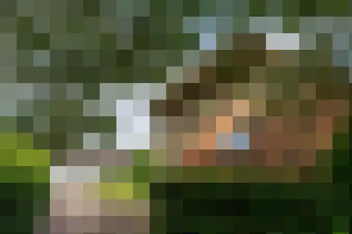 Tweede Molenweg 32 Blaricum thumbnail 23