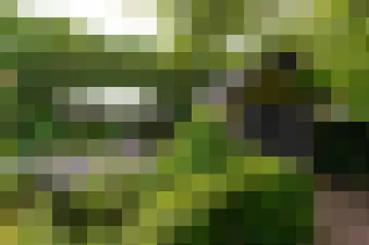 Tweede Molenweg 32 Blaricum thumbnail 24