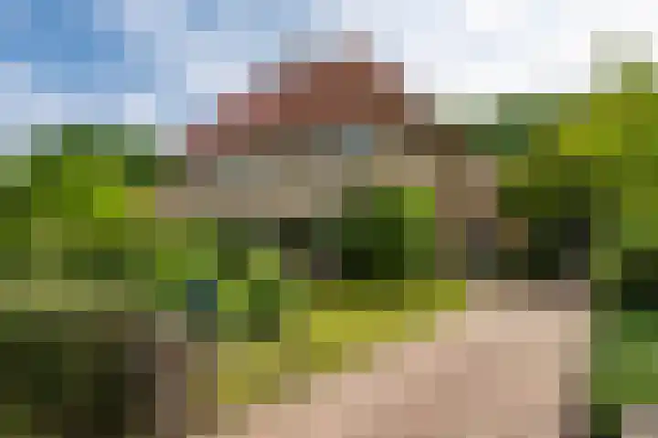 Tweede Molenweg 32 Blaricum thumbnail 30