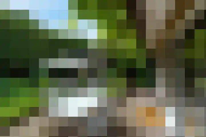 Tweede Molenweg 32 Blaricum thumbnail 7