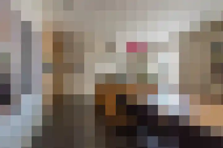 Tweede Molenweg 45 Blaricum thumbnail 10