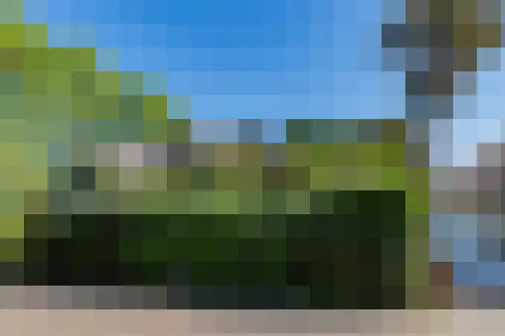 Tweede Molenweg 45 Blaricum thumbnail 18