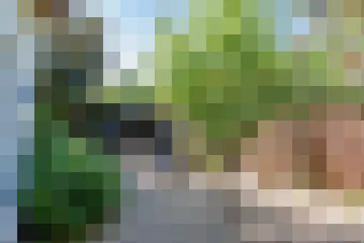 Tweede Molenweg 45 Blaricum thumbnail 4