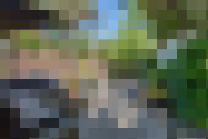 Tweede Molenweg 45 Blaricum thumbnail 5