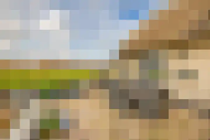 Tweede Moordrechtse Tiendeweg 18 Gouda thumbnail 36