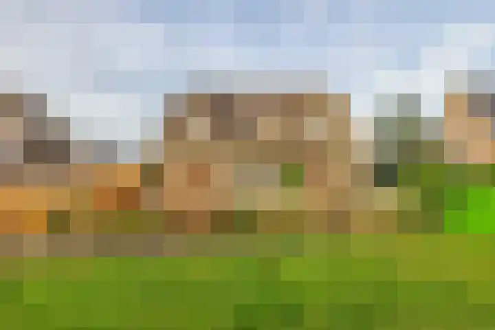 Tweede Moordrechtse Tiendeweg 18 Gouda thumbnail 38