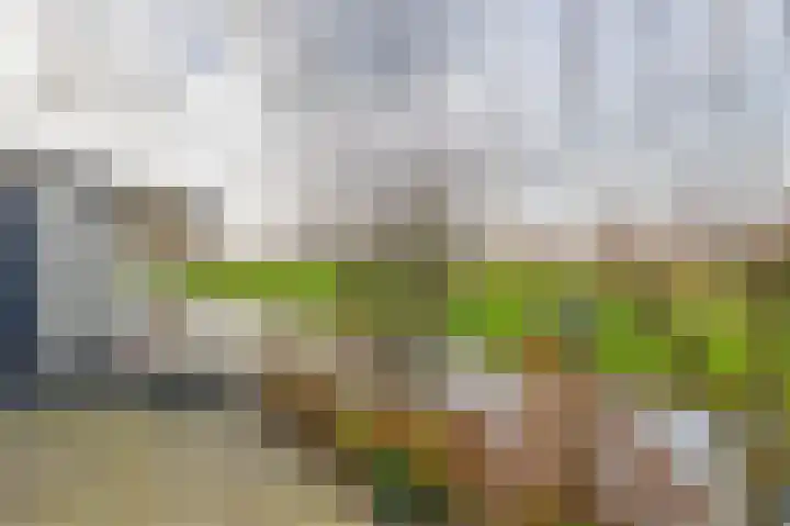 Tweede Moordrechtse Tiendeweg 18 Gouda thumbnail 39