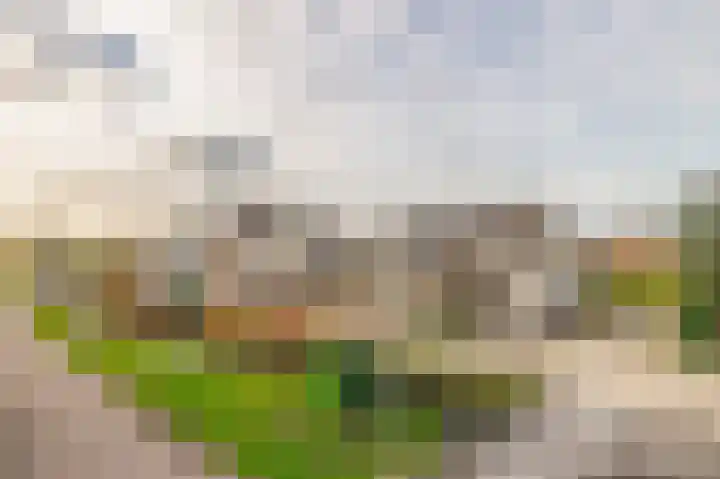 Tweede Moordrechtse Tiendeweg 18 Gouda thumbnail 6