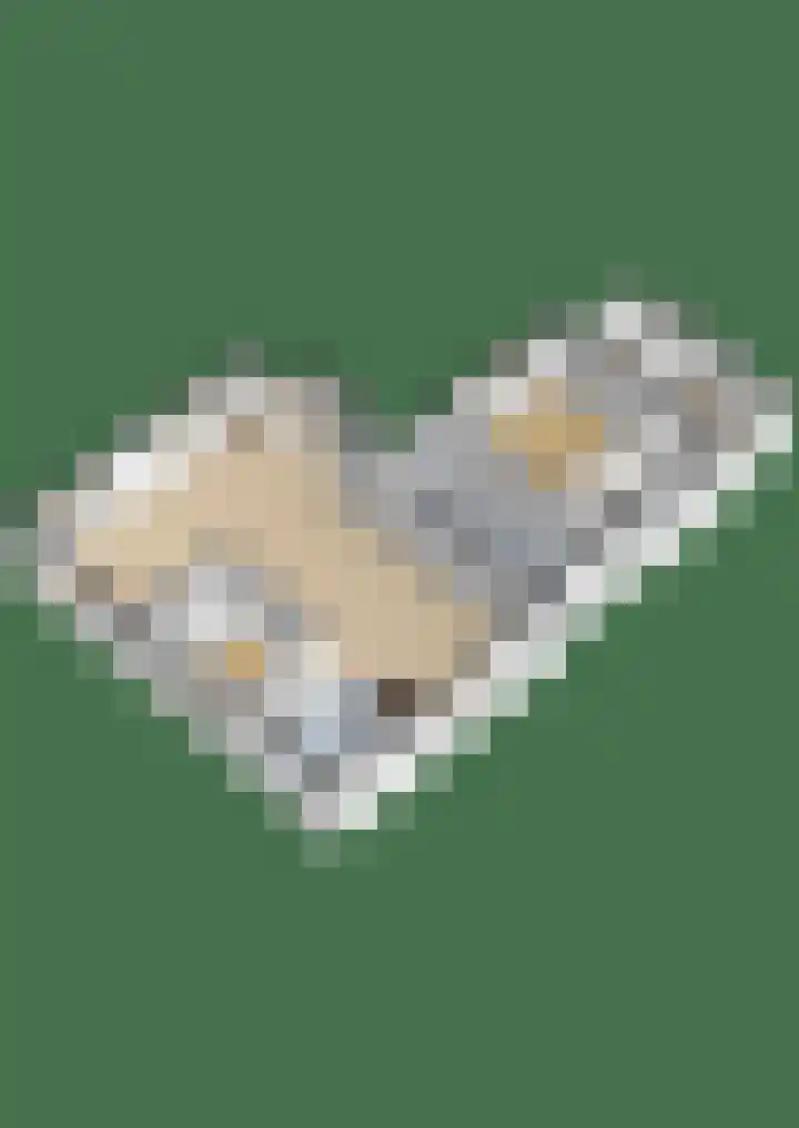 Tweede Moordrechtse Tiendeweg 18 Gouda thumbnail 63