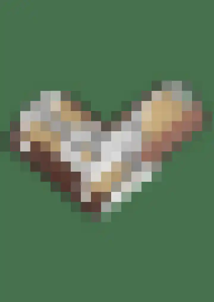 Tweede Moordrechtse Tiendeweg 18 Gouda thumbnail 65