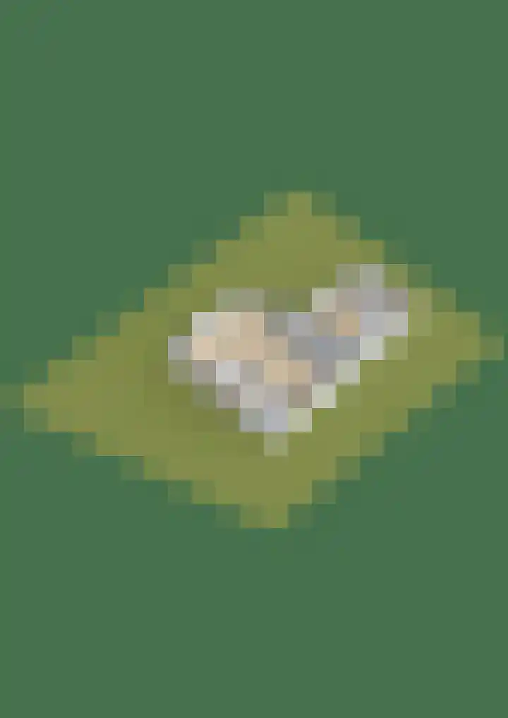 Tweede Moordrechtse Tiendeweg 18 Gouda thumbnail 67