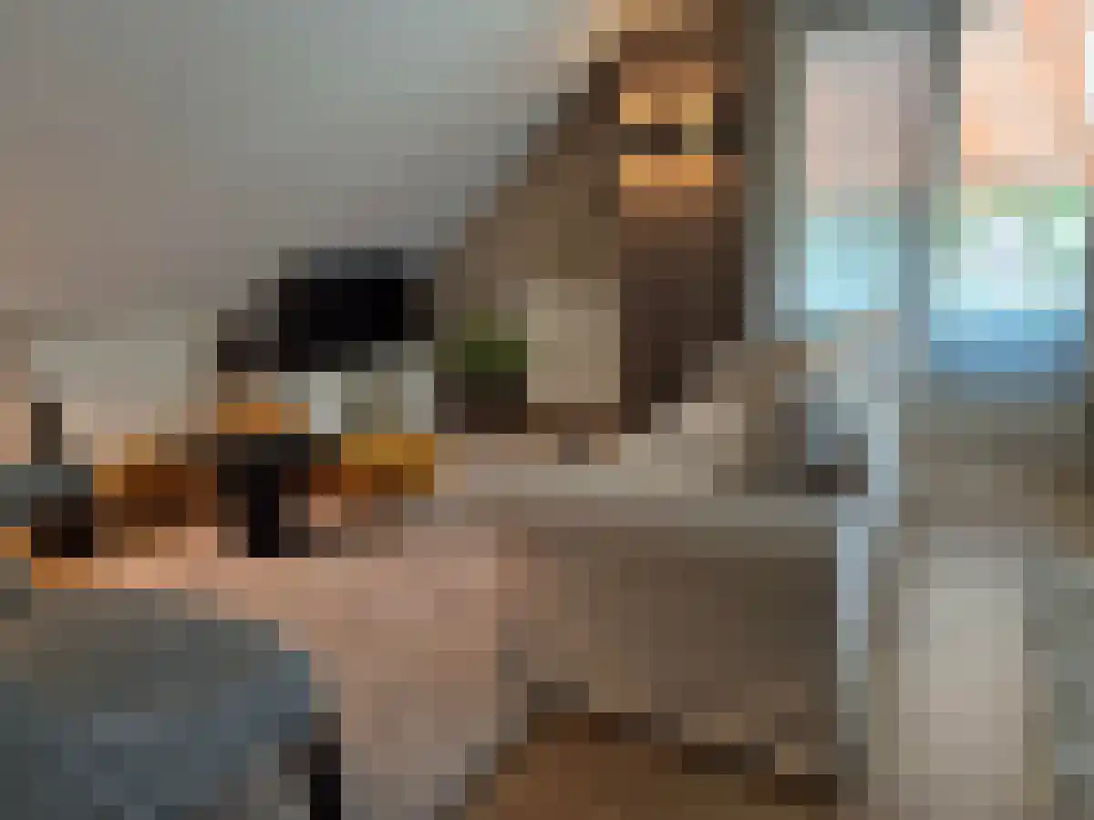 Tweede Morgen 12 in 's-Hertogenbosch