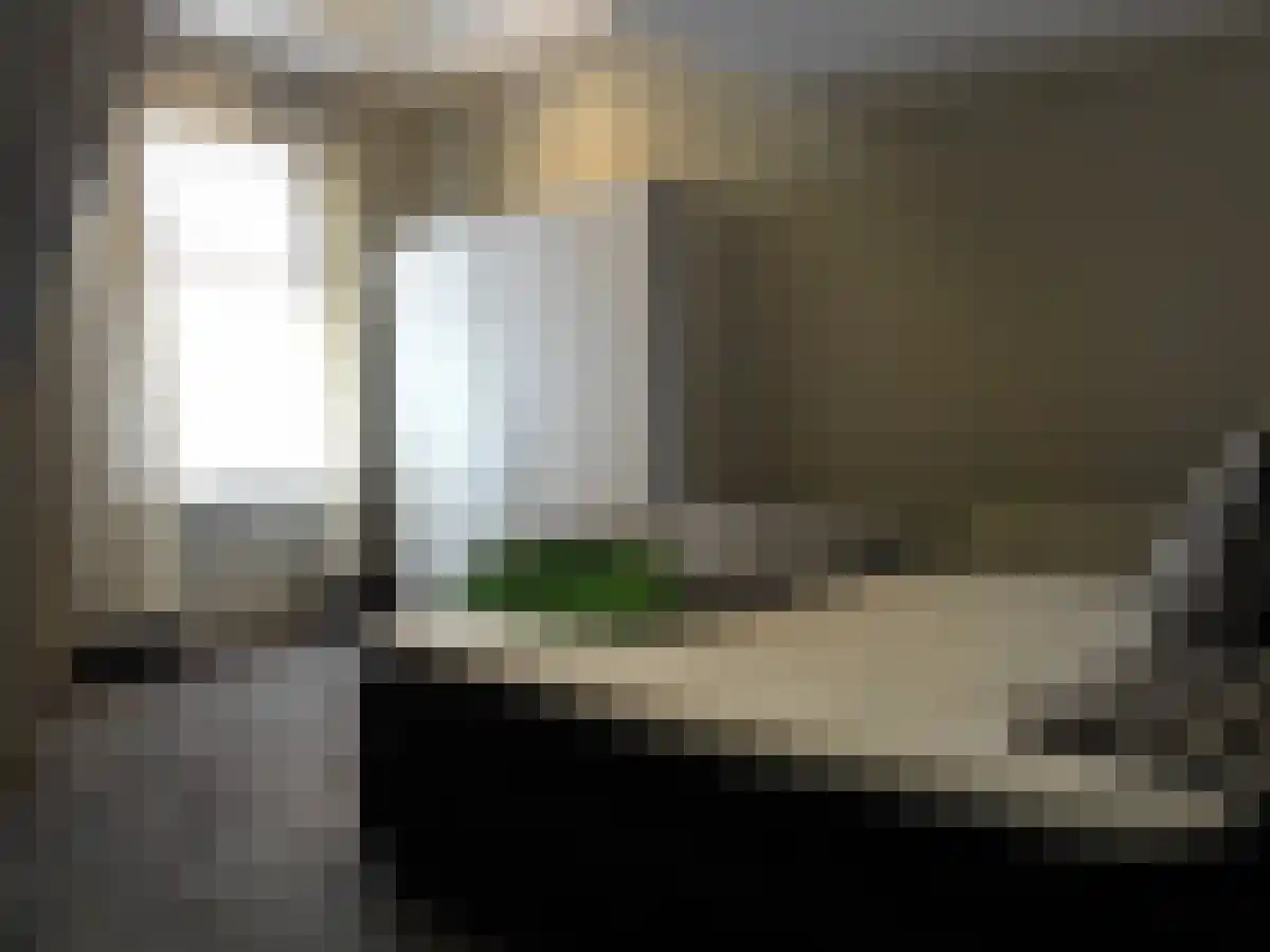 Tweede Morgen 12 's-Hertogenbosch thumbnail 4