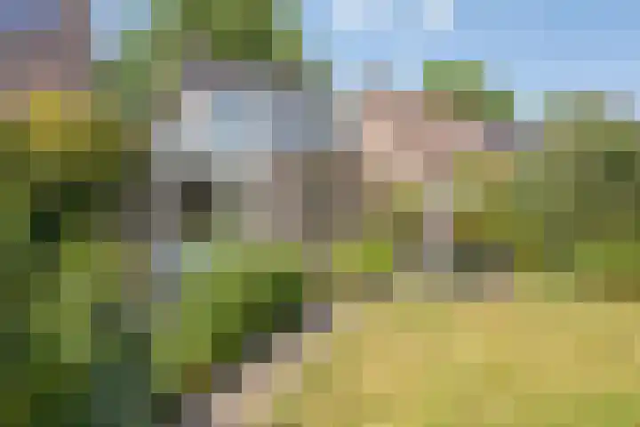 Tweede Morgen 21 's-Hertogenbosch thumbnail 13