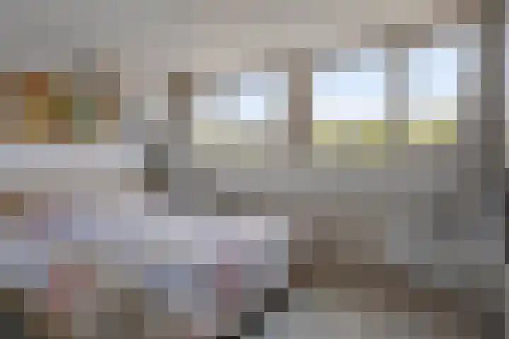 Tweede Morgen 21 's-Hertogenbosch thumbnail 23