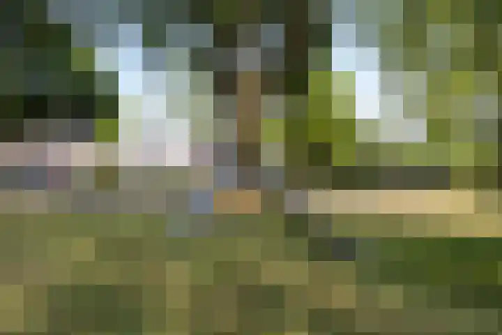 Tweede Morgen 21 's-Hertogenbosch thumbnail 32