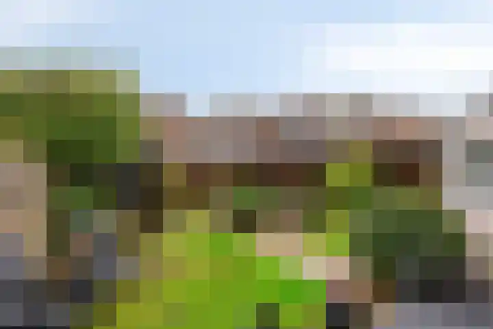 Tweede Morgendreef 10 's-Hertogenbosch thumbnail 32
