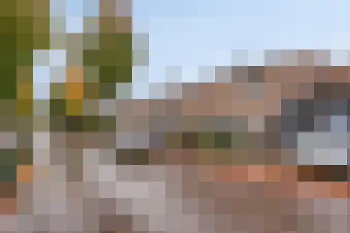 Tweede Morgendreef 10 's-Hertogenbosch thumbnail 34