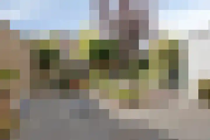 Tweede Morgendreef 14 's-Hertogenbosch thumbnail 12