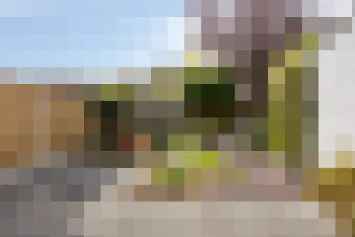 Tweede Morgendreef 14 's-Hertogenbosch thumbnail 13
