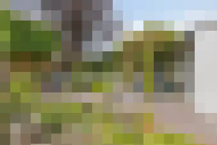 Tweede Morgendreef 14 's-Hertogenbosch thumbnail 14