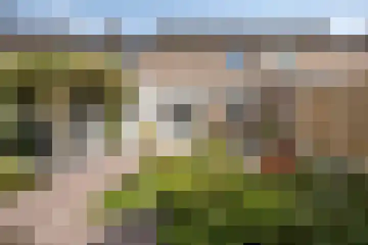 Tweede Morgendreef 14 's-Hertogenbosch thumbnail 15
