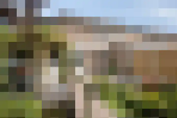 Tweede Morgendreef 14 's-Hertogenbosch thumbnail 16